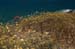 048-Kykl_10_Guenter_107