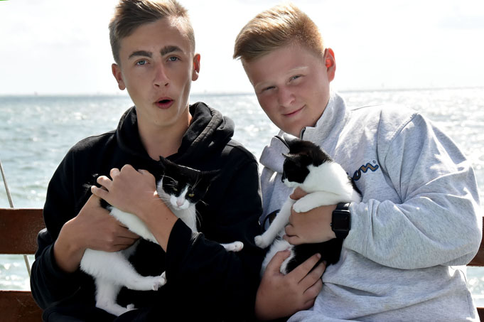 lageschieber-jungs-mit-katze