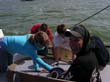 083_holland_segeln_2009