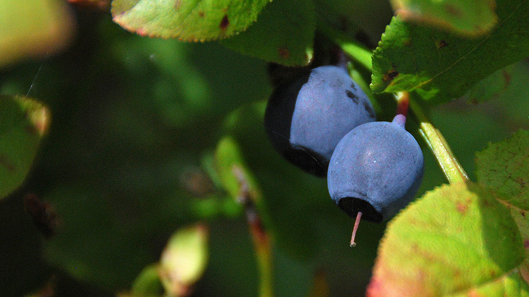 DSC_3894
