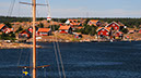 DSC_4103
